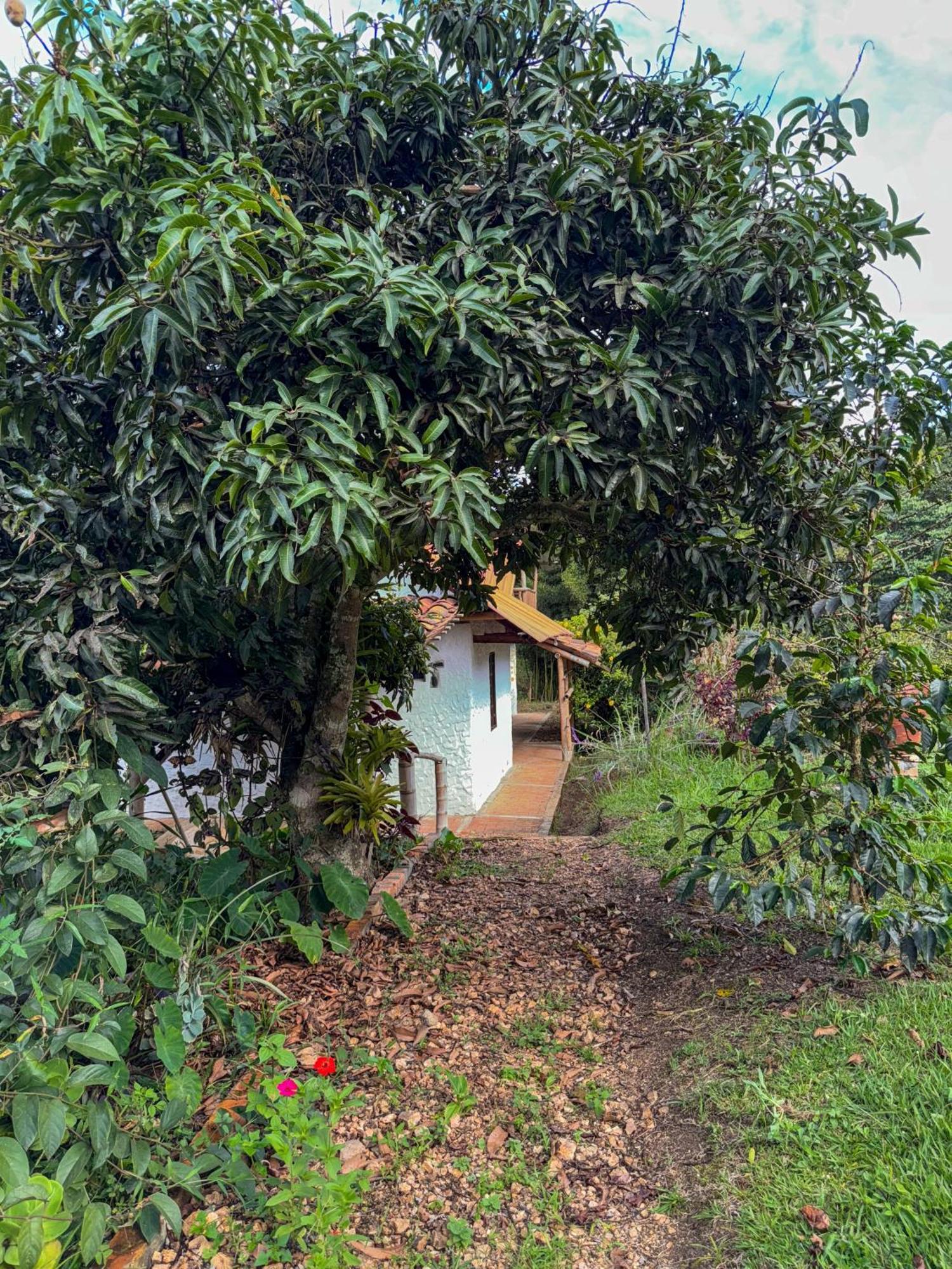 Hostal Pachamama Сан-Агустин Экстерьер фото