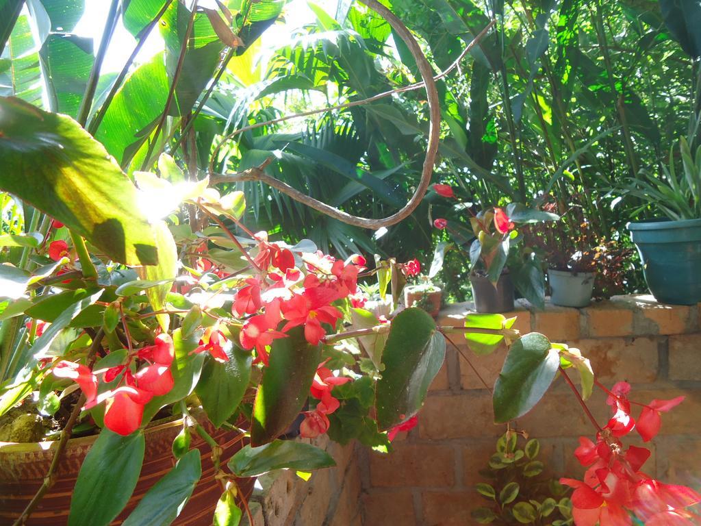 Hostal Pachamama Сан-Агустин Экстерьер фото