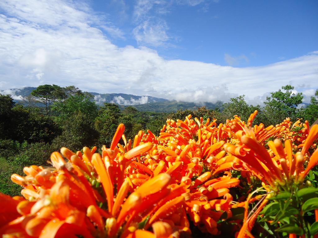 Hostal Pachamama Сан-Агустин Экстерьер фото